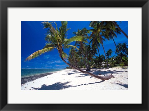 Framed Tambua Sands,Fiji Print