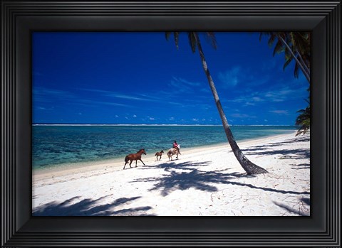 Framed Horses on Beach, Tambua Sands Resort, Coral Coast, Fiji Print