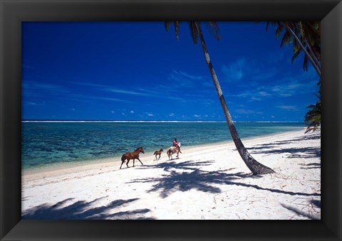 Framed Horses on Beach, Tambua Sands Resort, Coral Coast, Fiji Print