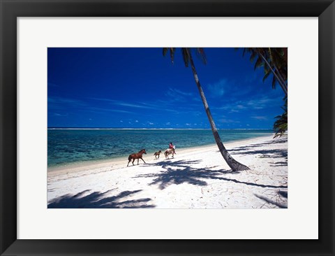 Framed Horses on Beach, Tambua Sands Resort, Coral Coast, Fiji Print