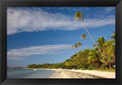 Framed Beach and palm trees, Plantation Island Resort, Fiji Print