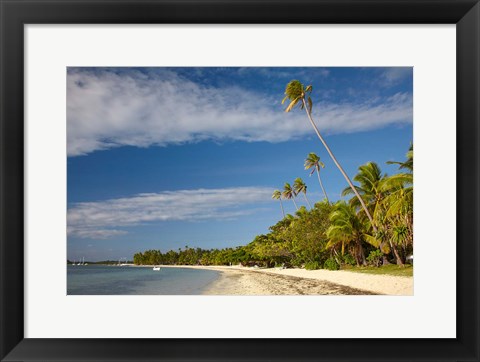 Framed Beach and palm trees, Plantation Island Resort, Fiji Print