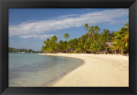 Framed Beach and palm trees,  Malolo Lailai Island, Mamanuca Islands, Fiji Print