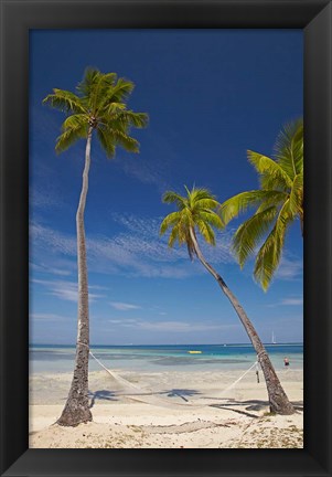 Framed Hammock and palm trees, Plantation Island Resort, Malolo Lailai Island, Mamanuca Islands, Fiji Print