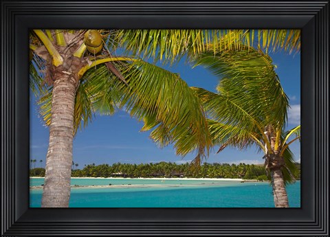 Framed Palm trees and lagoon entrance, Musket Cove Island Resort, Malolo Lailai Island, Mamanuca Islands, Fiji Print