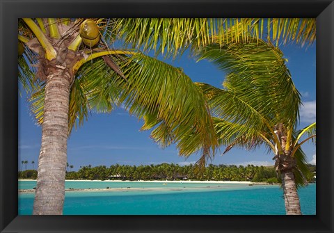 Framed Palm trees and lagoon entrance, Musket Cove Island Resort, Malolo Lailai Island, Mamanuca Islands, Fiji Print