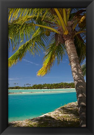 Framed Palm trees and lagoon entrance, Musket Cove Island Resort, Fiji Print