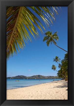 Framed Beach and palm trees, Plantation Island Resort, Malolo Lailai Island, Mamanuca Islands, Fiji Print