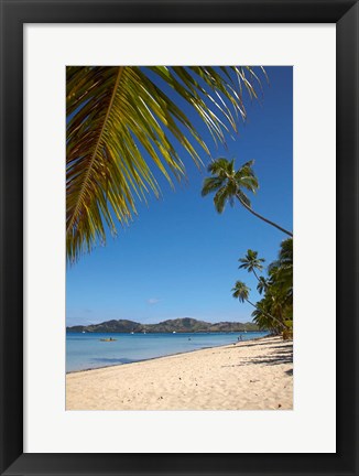 Framed Beach and palm trees, Plantation Island Resort, Malolo Lailai Island, Mamanuca Islands, Fiji Print