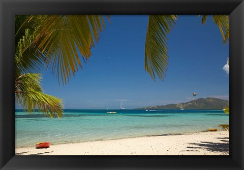 Framed Beach and palm trees, Plantation Island Resort, Malolo Lailai Island, Fiji Print