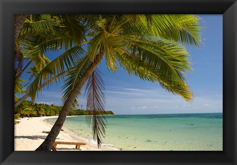 Framed Beach and palm trees, Plantation Island Resort, Mamanuca Islands, Fiji Print