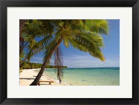 Framed Beach and palm trees, Plantation Island Resort, Mamanuca Islands, Fiji Print