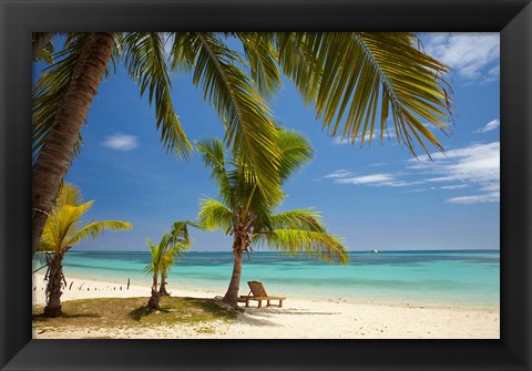 Framed Beach, palm trees and lounger, Plantation Island Resort, Malolo Lailai Island, Mamanuca Islands, Fiji Print