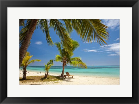 Framed Beach, palm trees and lounger, Plantation Island Resort, Malolo Lailai Island, Mamanuca Islands, Fiji Print