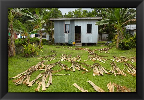 Framed Iron house, Namaqumaqua village, Viti Levu, Fiji Print