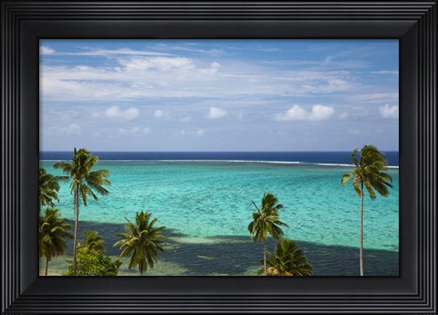 Framed Palm trees and coral reef, Crusoe&#39;s Retreat, Coral Coast, Viti Levu, Fiji Print