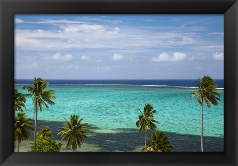 Framed Palm trees and coral reef, Crusoe&#39;s Retreat, Coral Coast, Viti Levu, Fiji Print