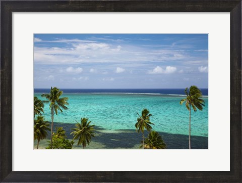 Framed Palm trees and coral reef, Crusoe&#39;s Retreat, Coral Coast, Viti Levu, Fiji Print