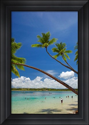 Framed Palm trees, Shangri-La Fijian Resort, Yanuca Island, Coral Coast, Viti Levu, Fiji Print