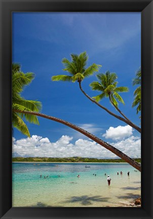 Framed Palm trees, Shangri-La Fijian Resort, Yanuca Island, Coral Coast, Viti Levu, Fiji Print