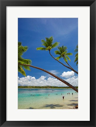 Framed Palm trees, Shangri-La Fijian Resort, Yanuca Island, Coral Coast, Viti Levu, Fiji Print
