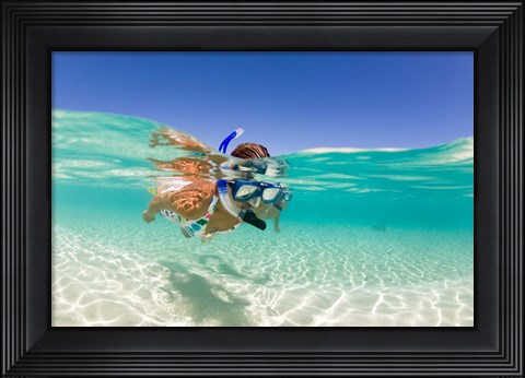 Framed Couple snorkeling, Beqa Island, Fiji Print