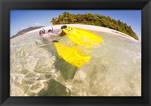 Framed Couple snorkeling near Beqa Lagoon, Fiji Print