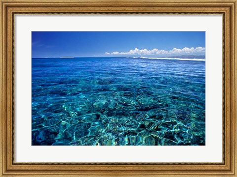 Framed Fiji Islands, Tavarua, coral reef Print