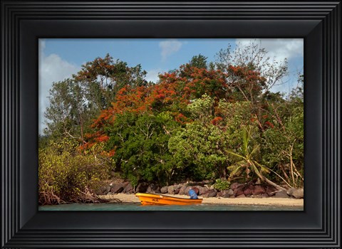 Framed Christmas Tree and Orange Skiff, Turtle Island, Yasawa Islands, Fiji Print