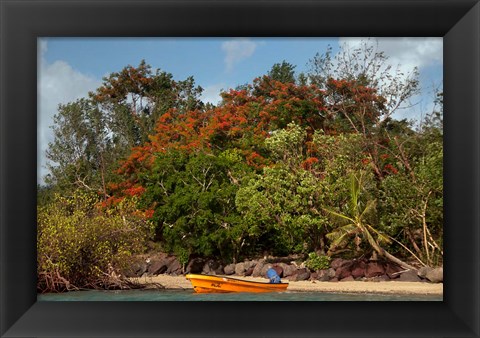 Framed Christmas Tree and Orange Skiff, Turtle Island, Yasawa Islands, Fiji Print