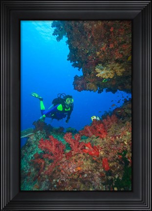 Framed Diver, Coral-lined Arc, Beqa Island, Fiji Print