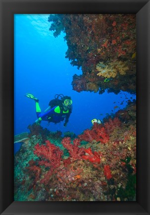 Framed Diver, Coral-lined Arc, Beqa Island, Fiji Print