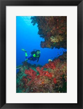 Framed Diver, Coral-lined Arc, Beqa Island, Fiji Print