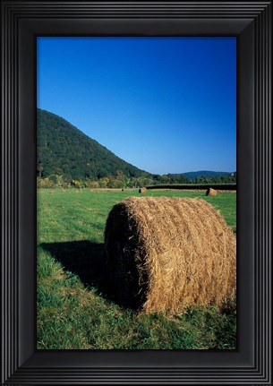 Framed Hay Bales in Litchfield Hills, Connecticut Print