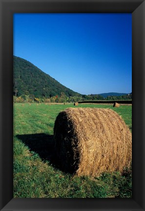 Framed Hay Bales in Litchfield Hills, Connecticut Print