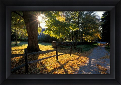 Framed Yard of the Main House on Henderson Property in Litchfield Hills, New Milford, Connecticut Print
