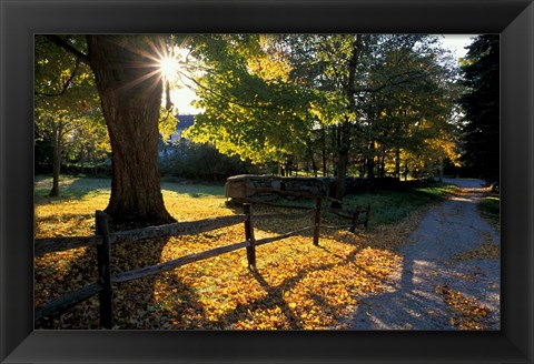 Framed Yard of the Main House on Henderson Property in Litchfield Hills, New Milford, Connecticut Print