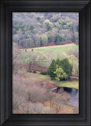 Framed Spring Forest in East Haddam, Connecticut Print