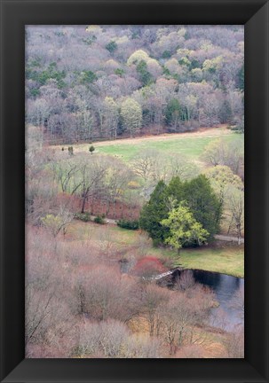 Framed Spring Forest in East Haddam, Connecticut Print