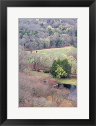 Framed Spring Forest in East Haddam, Connecticut Print