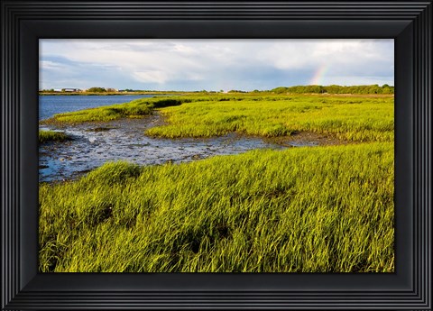 Framed Salt Marsh side of Long Beach,  Stratford, Connecticut Print