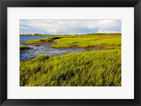 Framed Salt Marsh side of Long Beach,  Stratford, Connecticut Print