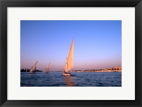 Framed Beautiful Sailboats Riding Along the Nile River, Cairo, Egypt Print