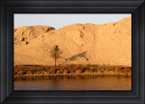 Framed Palm Tree on the Bank of the Nile River, Egypt Print