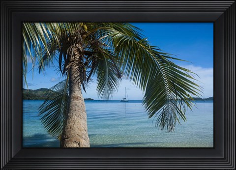 Framed Palm tree over clear waters around Nanuya Lailai Island, Blue Lagoon, Yasawa, Fiji, South Pacific Print