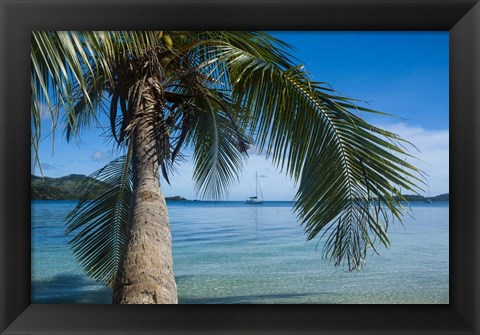 Framed Palm tree over clear waters around Nanuya Lailai Island, Blue Lagoon, Yasawa, Fiji, South Pacific Print