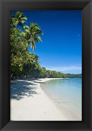 Framed White sand beach and water at the Nanuya Lailai island, the blue lagoon, Fiji Print