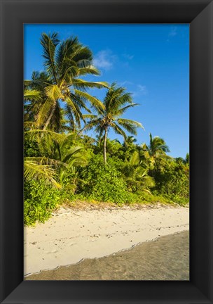 Framed Oarsman Bay, Fiji Print