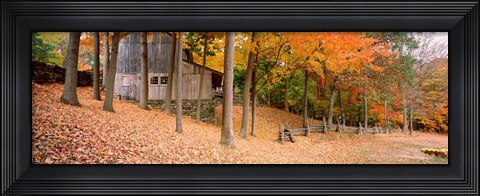 Framed Trees On A Hill, Connecticut Print