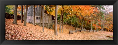 Framed Trees On A Hill, Connecticut Print